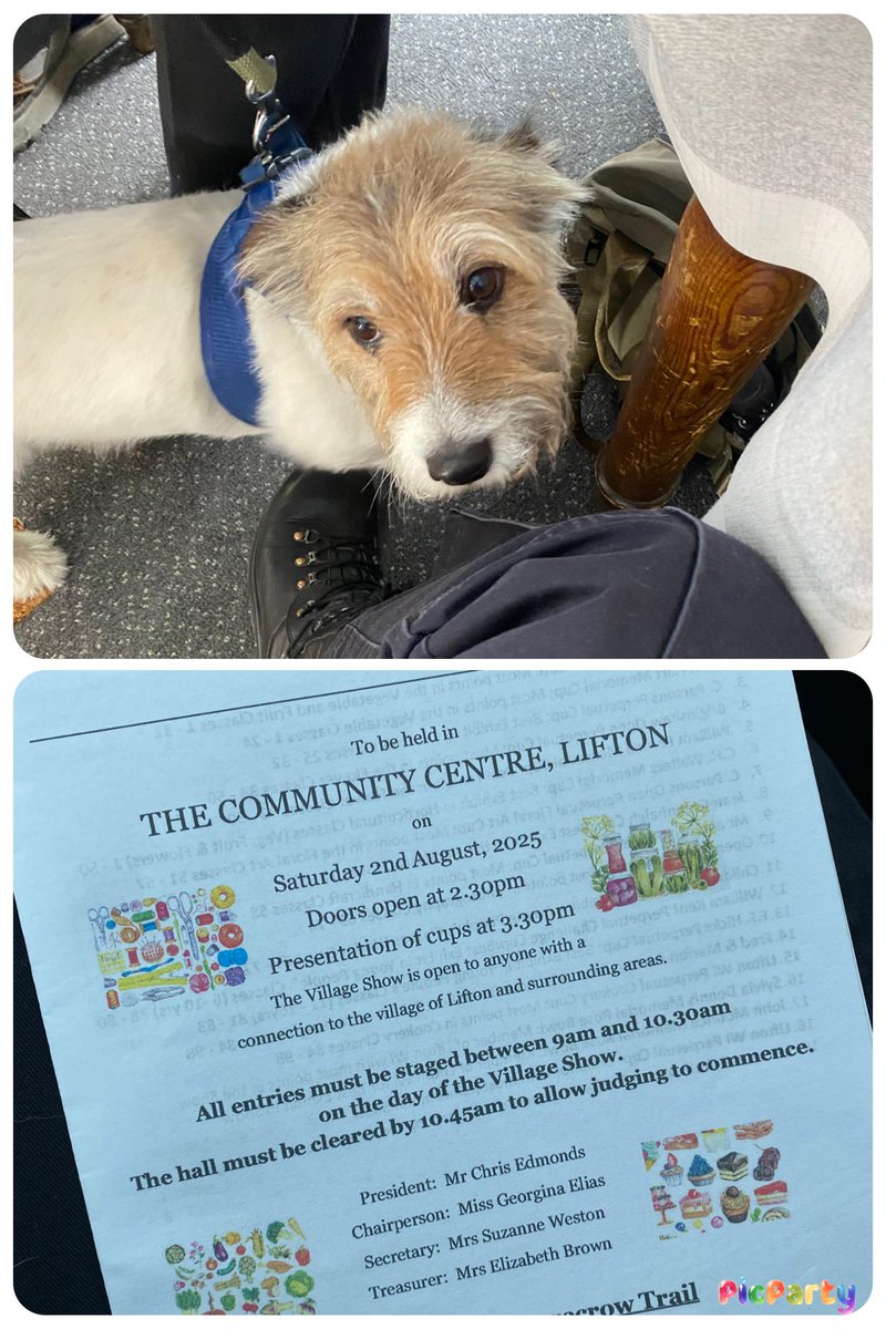 PCSO Debbie Hollinson (@pcso30747) on Twitter photo We just popped into the Lifton Community Centre drop in. Lovely to see some new faces and also old furry ones. Their village show is 2nd August and looks like it’ll be a great day!
<a href="/TavistockPolice/">Tavistock Police</a>
<a href="/ps_7003/">PS 7003 Ottley</a> <a href="/NWDevonPolice/">North and West Devon Police</a> <a href="/DC_Police/">Devon & Cornwall Police</a> We just popped into the Lifton Community Centre drop in. Lovely to see some new faces and also old furry ones. Their village show is 2nd August and looks like it’ll be a great day!
<a href="/TavistockPolice/">Tavistock Police</a>
<a href="/ps_7003/">PS 7003 Ottley</a> <a href="/NWDevonPolice/">North and West Devon Police</a> <a href="/DC_Police/">Devon & Cornwall Police</a>