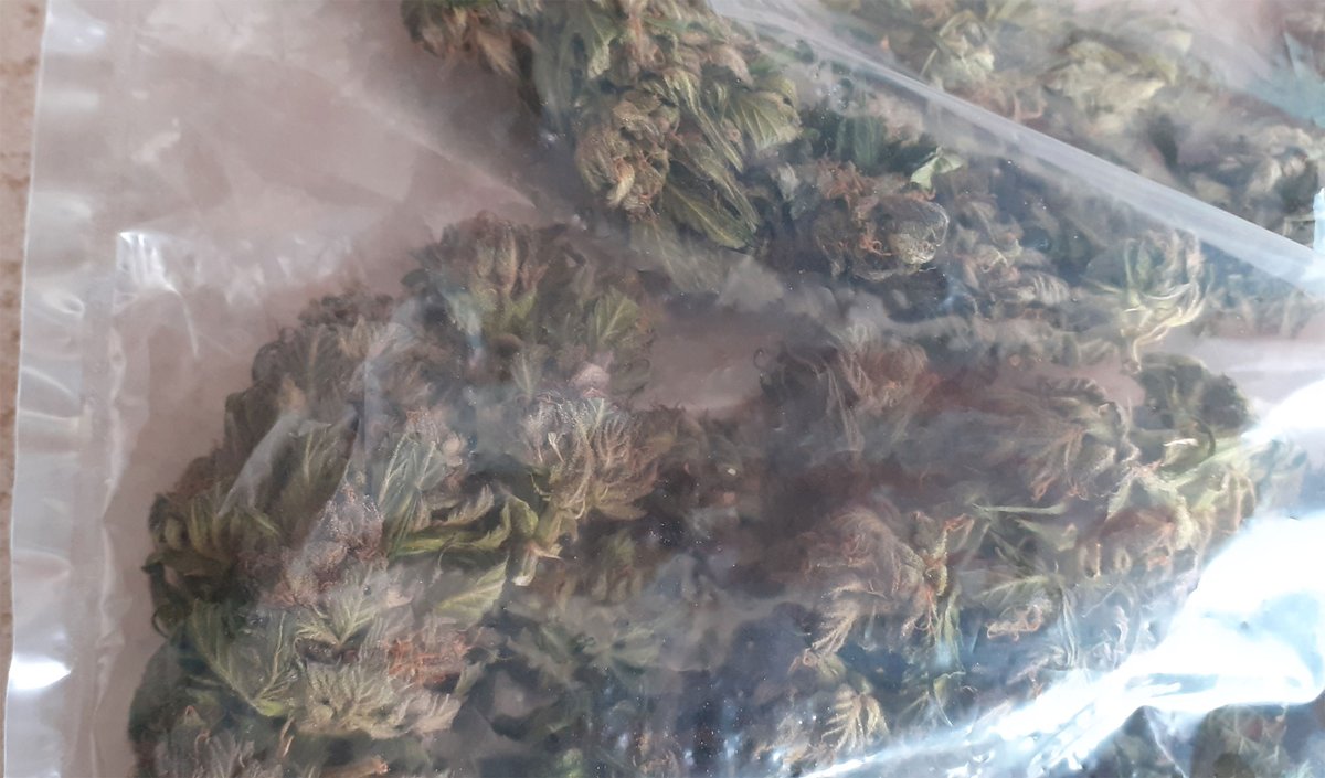 ganja_chicken's tweet photo. #Dryferm - 👝 - Test
1. Tag: Gewicht ca. 27 % weniger
2. Tag: Gewicht ca. 40 % weniger
3. Tag: Gewicht ca. 50 % weniger
4. Tag: Gewicht ca. 57 % weniger
5. Tag: Gewicht ca. 61 % weniger
6. Tag: Gewicht ca. 64 % weniger https://t.co/Tzx1ZK0yPG