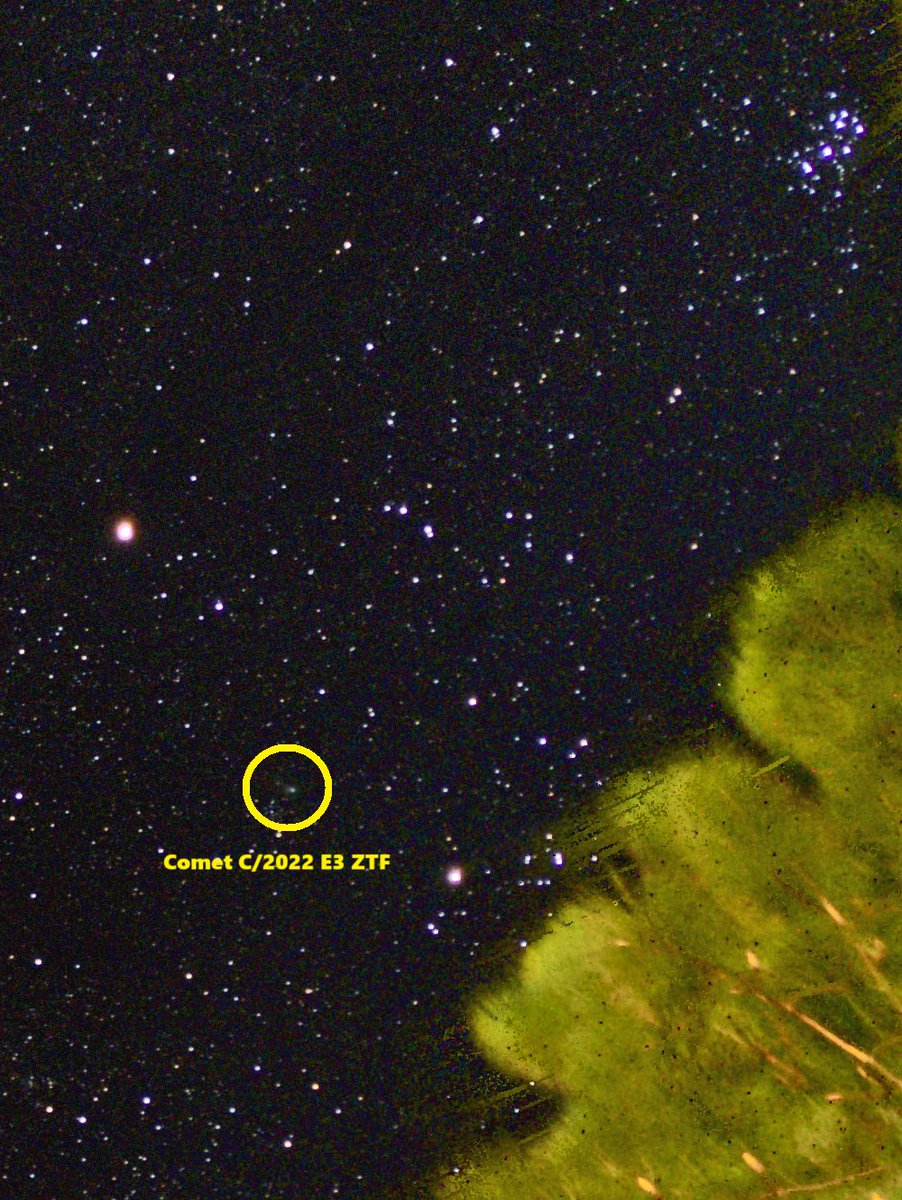 astronomer_g15's tweet image. Comet C/2022 E3 ZTF in the starry sky, captured with Mi 10T smartphone on 13 February 2023 at Abbottabad, Pakistan. 100 Lights (Exposure 13s, ISO 2500) &amp;amp; 30 flats stacked in Sequator and processed in ACDSee.