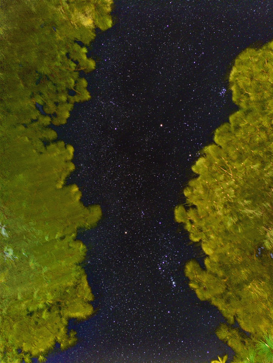 astronomer_g15's tweet image. Comet C/2022 E3 ZTF in the starry sky, captured with Mi 10T smartphone on 13 February 2023 at Abbottabad, Pakistan. 100 Lights (Exposure 13s, ISO 2500) &amp;amp; 30 flats stacked in Sequator and processed in ACDSee.