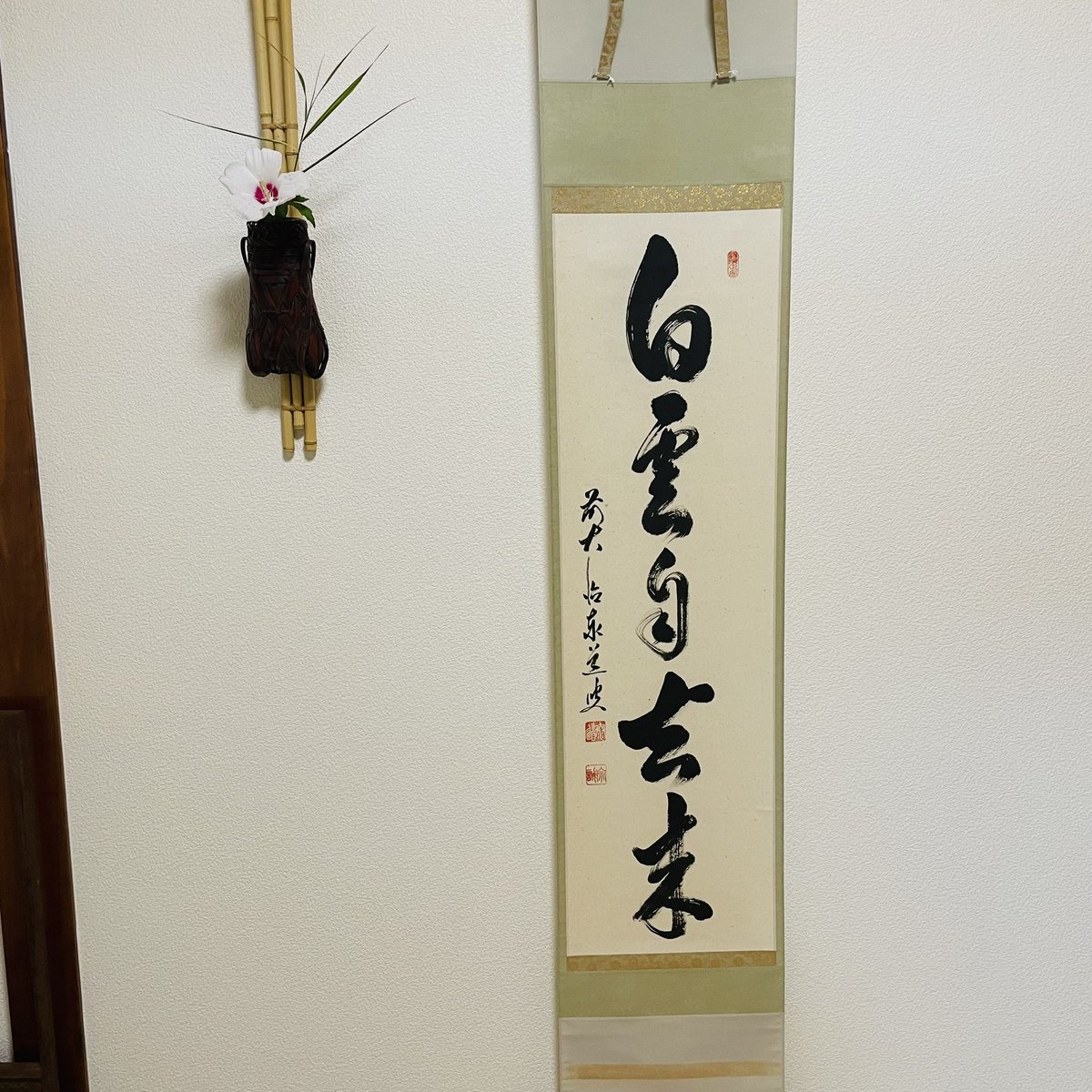 7月のお稽古
軸　白雲自去来
花入　蝉籠
花　宗旦木槿、縞葦

#表千家　#茶道　#茶道教室
#山野草　#茶花
#茶道と着付けと華道の教室
#立川  #立川市