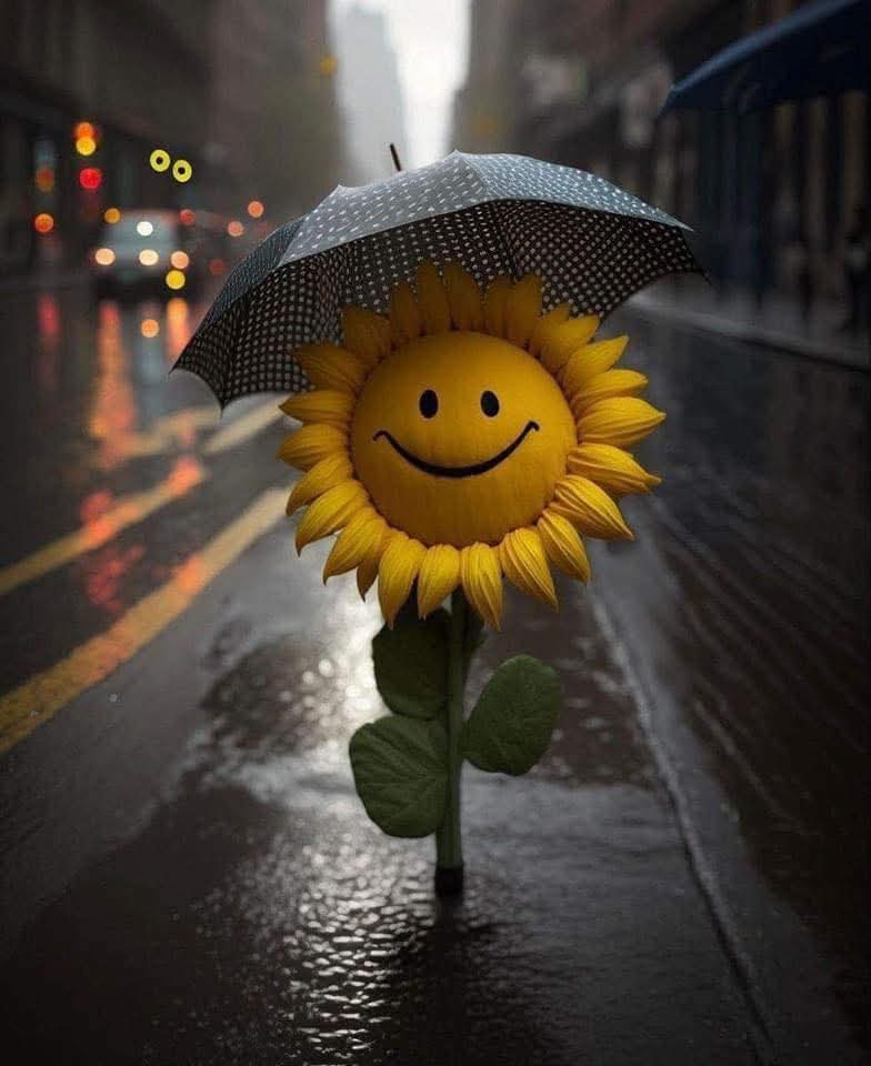 จำไว้ว่า ต่อให้ชีวิตเคยผ่านอะไรมา คุณค่าในตัวเราไม่เคยลดลงจากเดิม.🌻💛