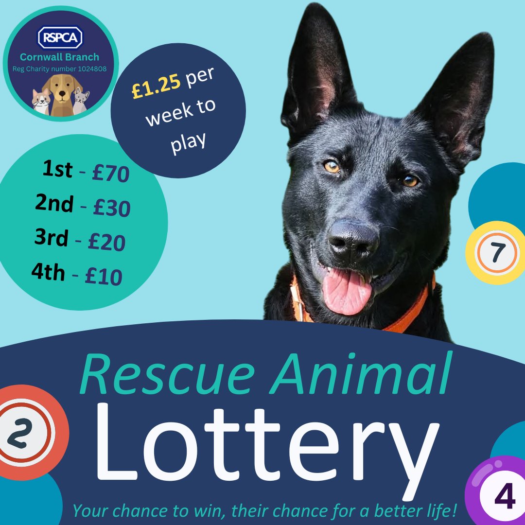 RSPCA Cornwall tweet media