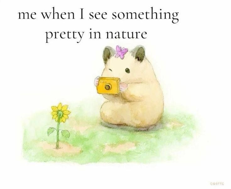 adorabledaily (@adorabledaiiy) on Twitter photo 