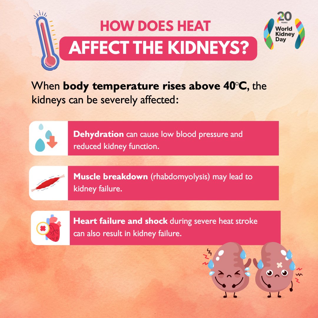 When the body overheats, many metabolic systems start to shut down — and kidney function can be affected. In high heat, avoid NSAIDs like Ibuprofen, Advil, or Aleve as they can trigger acute kidney failure. 

#WorldKidneyDay #AreYourKidneysOK #KidneyHealthMatters