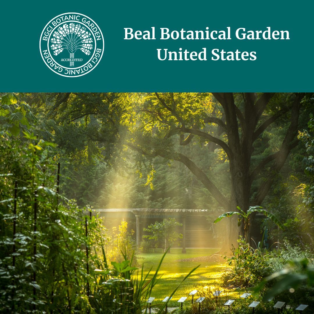 bgci's tweet image. Congratulations to Beal Botanical Garden on their Botanic Garden Accreditation! 

Established in 1873, Beal Botanical Garden is the oldest botanical garden in the US. The garden grows over 2,000 plants from around the world. 
buff.ly/7cXNYaC
#BotanicalGardenAccreditation