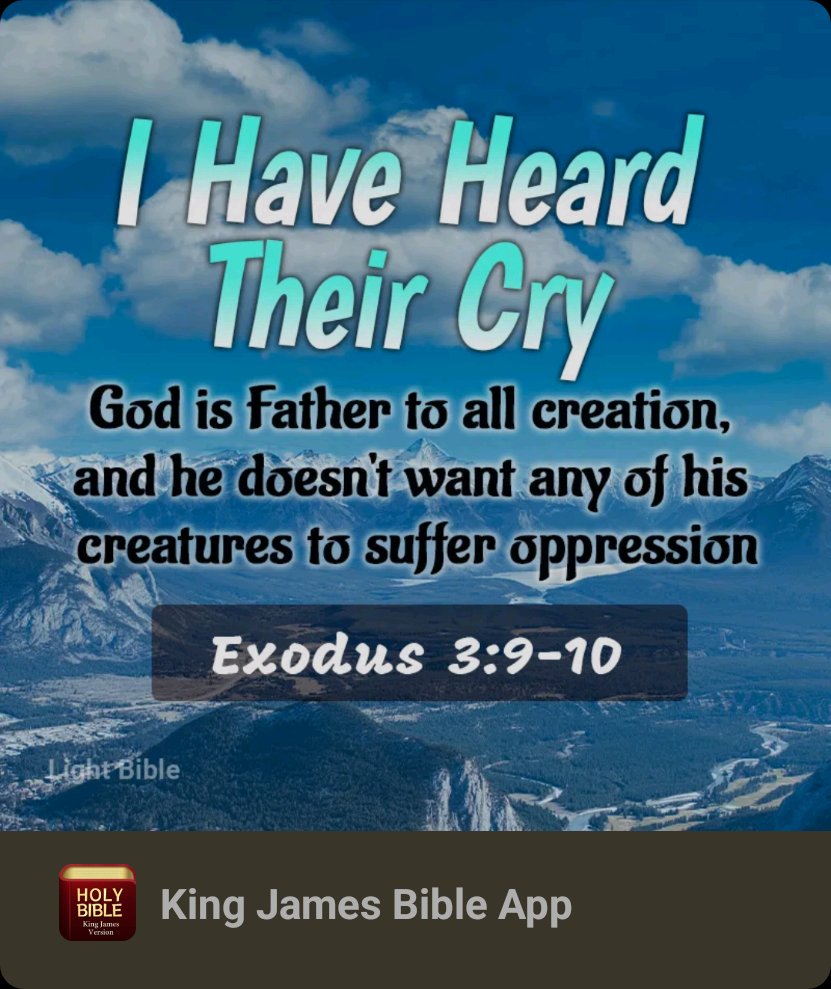 BrianHPatriot76's tweet image. God hears us. He hears the cries of his people when they are being oppressed. In this case, the people of Israel were being oppressed by the Egyptians and God had placed Moses in a position to help them be free. God hears his people cry today. There is oppression in some…