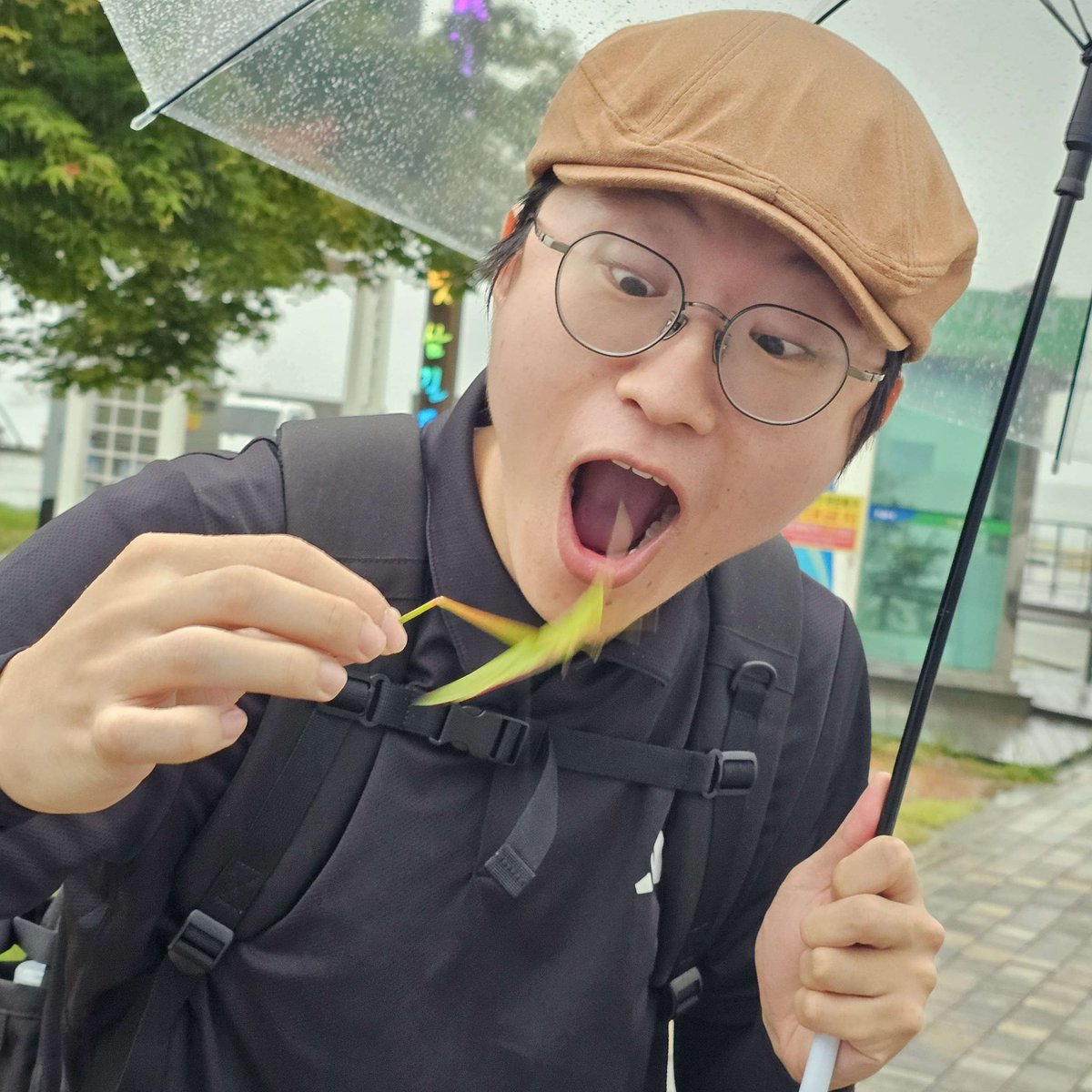 Kitty Cannon (@kittycannon_fur) on Twitter photo 