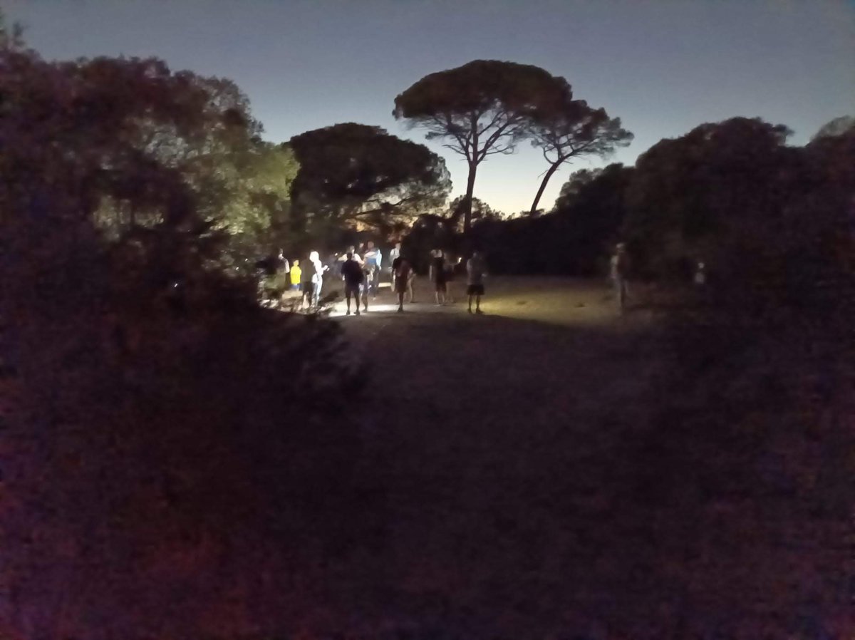 Parque Toruños (@parquetorunos) on Twitter photo Te esperamos a las 22:00 h, en la entrada principal de la Algaida del <a href="/ParqueTorunos/">Parque Toruños</a>, para la aventura nocturna en familia "Artrópodos: los duendes de la noche", un enigmático paseo a la luz de las linternas.
<a href="/FomentoAND/">Consejería de Fomento de la Junta de Andalucía</a>
<a href="/Cadizjunta/">Cádiz Junta</a>
<a href="/Rocio_DiazJ/">Rocío Díaz Jiménez</a>
<a href="/TurismoElPuerto/">ElPuertoDeSantaMaría</a>
<a href="/TurismoPtoReal/">Puerto Real Turismo</a> Te esperamos a las 22:00 h, en la entrada principal de la Algaida del <a href="/ParqueTorunos/">Parque Toruños</a>, para la aventura nocturna en familia "Artrópodos: los duendes de la noche", un enigmático paseo a la luz de las linternas.
<a href="/FomentoAND/">Consejería de Fomento de la Junta de Andalucía</a>
<a href="/Cadizjunta/">Cádiz Junta</a>
<a href="/Rocio_DiazJ/">Rocío Díaz Jiménez</a>
<a href="/TurismoElPuerto/">ElPuertoDeSantaMaría</a>
<a href="/TurismoPtoReal/">Puerto Real Turismo</a>