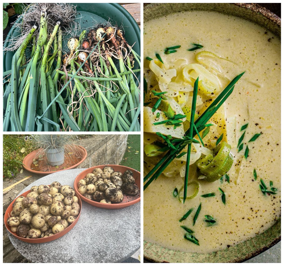 Prof_GD_Foster's tweet image. Our homegrown potatoes, leeks and onions are about to be turned into chunky leek & potato soup by my better half. Can highly recommend this recipe 🥣
waitrose.com/ecom/recipe/ch…