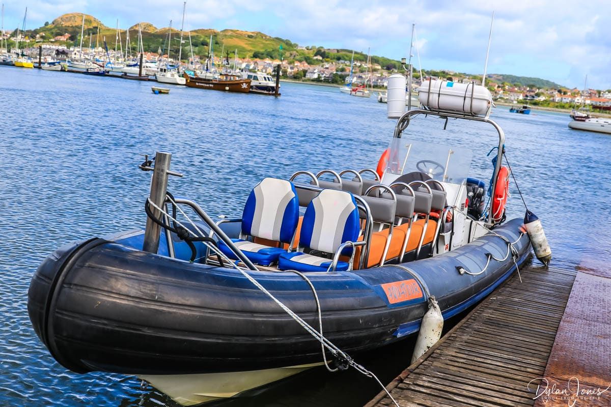 Shoot from the Trip tweet media