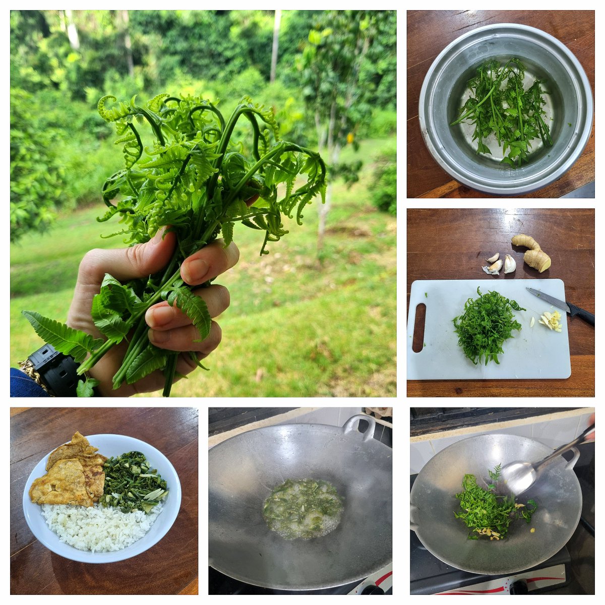 Jessica Haysom, PhD tweet media