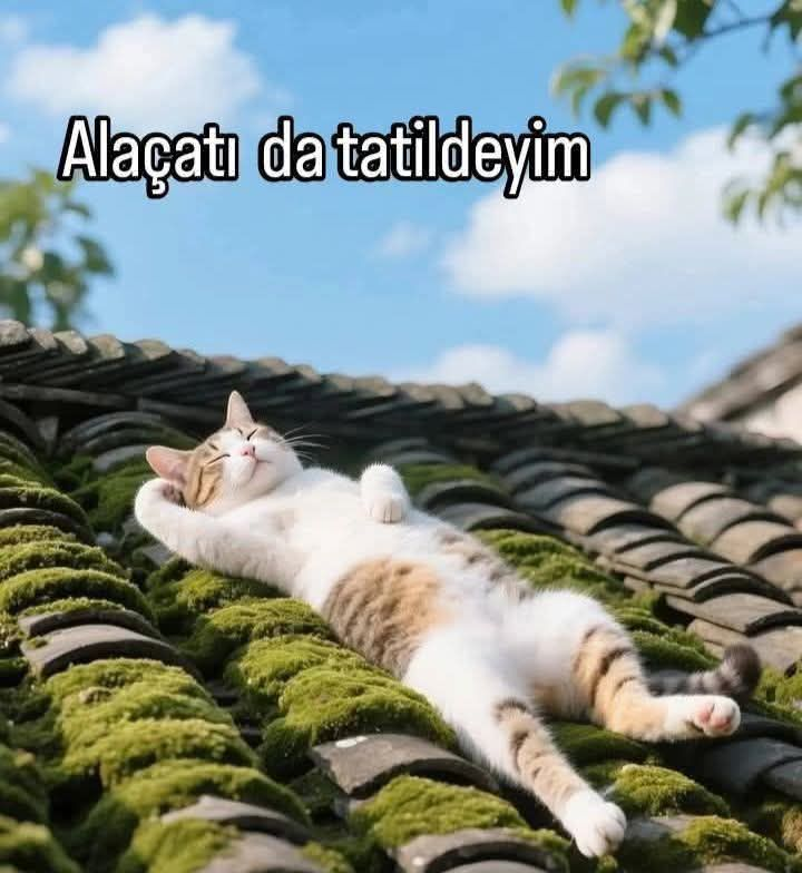 Emekliler kıskanmasın 🤣🤣