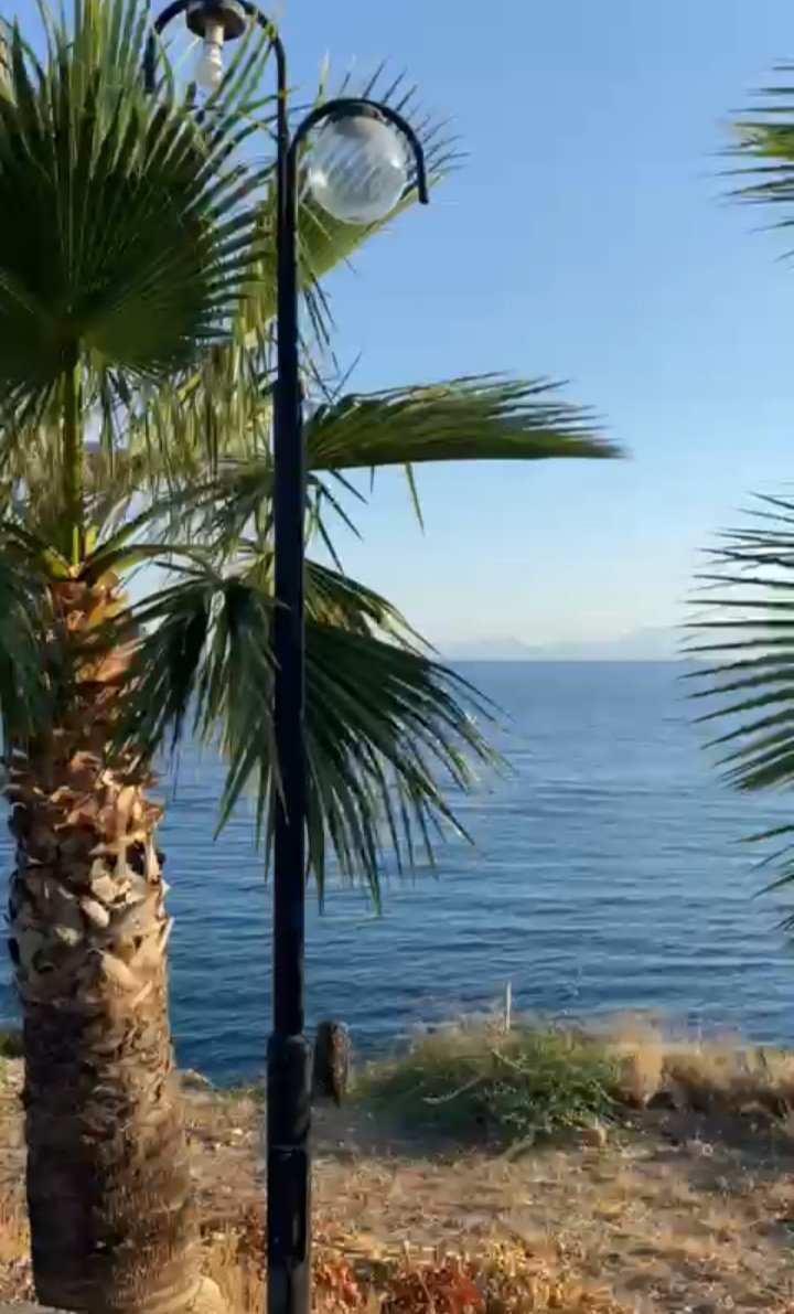 AcaralSevgi's tweet image. Ne avutur ki beni
Kendimden başka.

Turgut Uyar💚💙