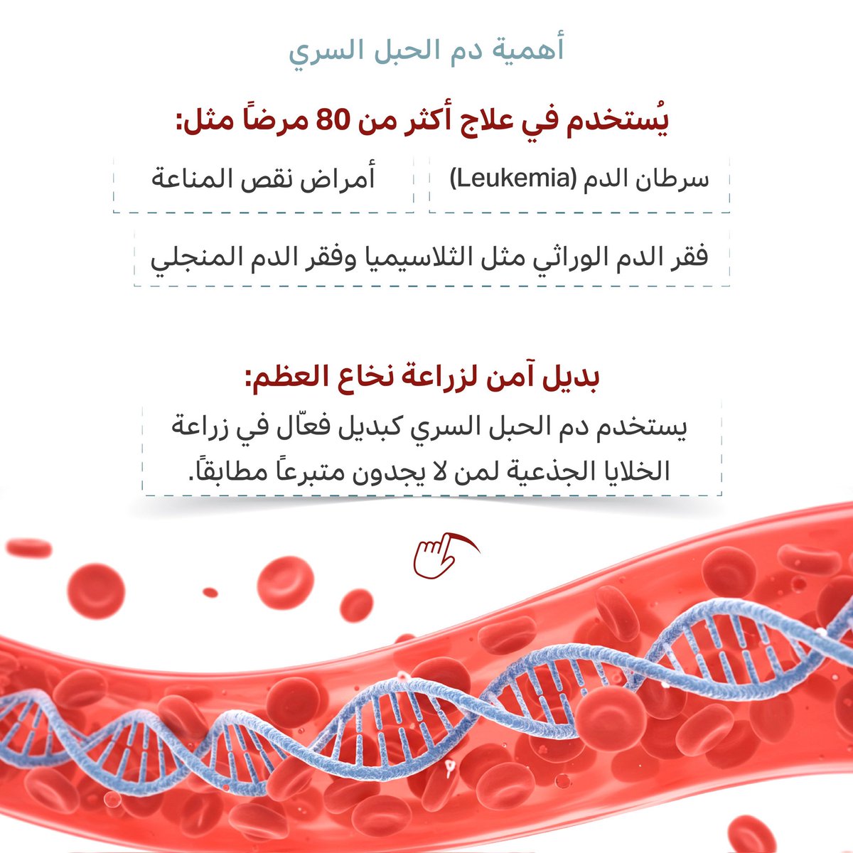 🩸شهر التوعية بدم الحبل السري
يُعد مصدرًا غنيًا بالخلايا الجذعية المكونة للدم، والتي يمكن استخدامها لعلاج أكثر من 80 مرضًا مثل سرطان الدم، وأمراض نقص المناعة، وفقر الدم الوراثي.
يُجمع هذا الدم بعد الولادة بطريقة آمنة ويتم تخزينه في بنوك متخصصة لاستخدامه المستقبلي في العلاجات.