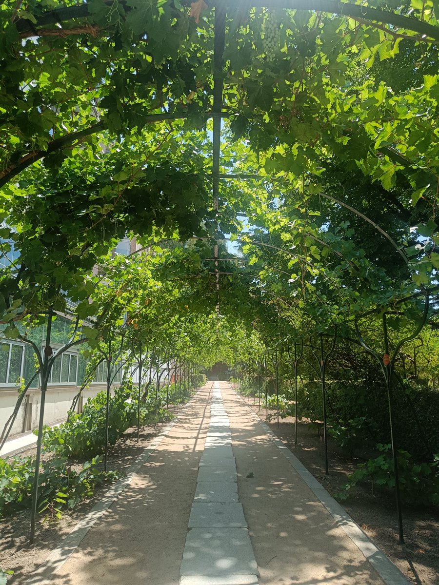 REAL JARDÍN BOTÁNICO tweet media