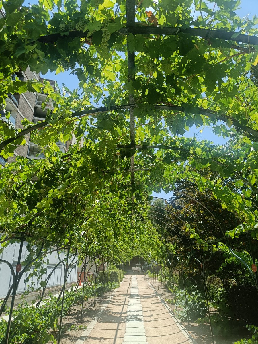 REAL JARDÍN BOTÁNICO tweet media