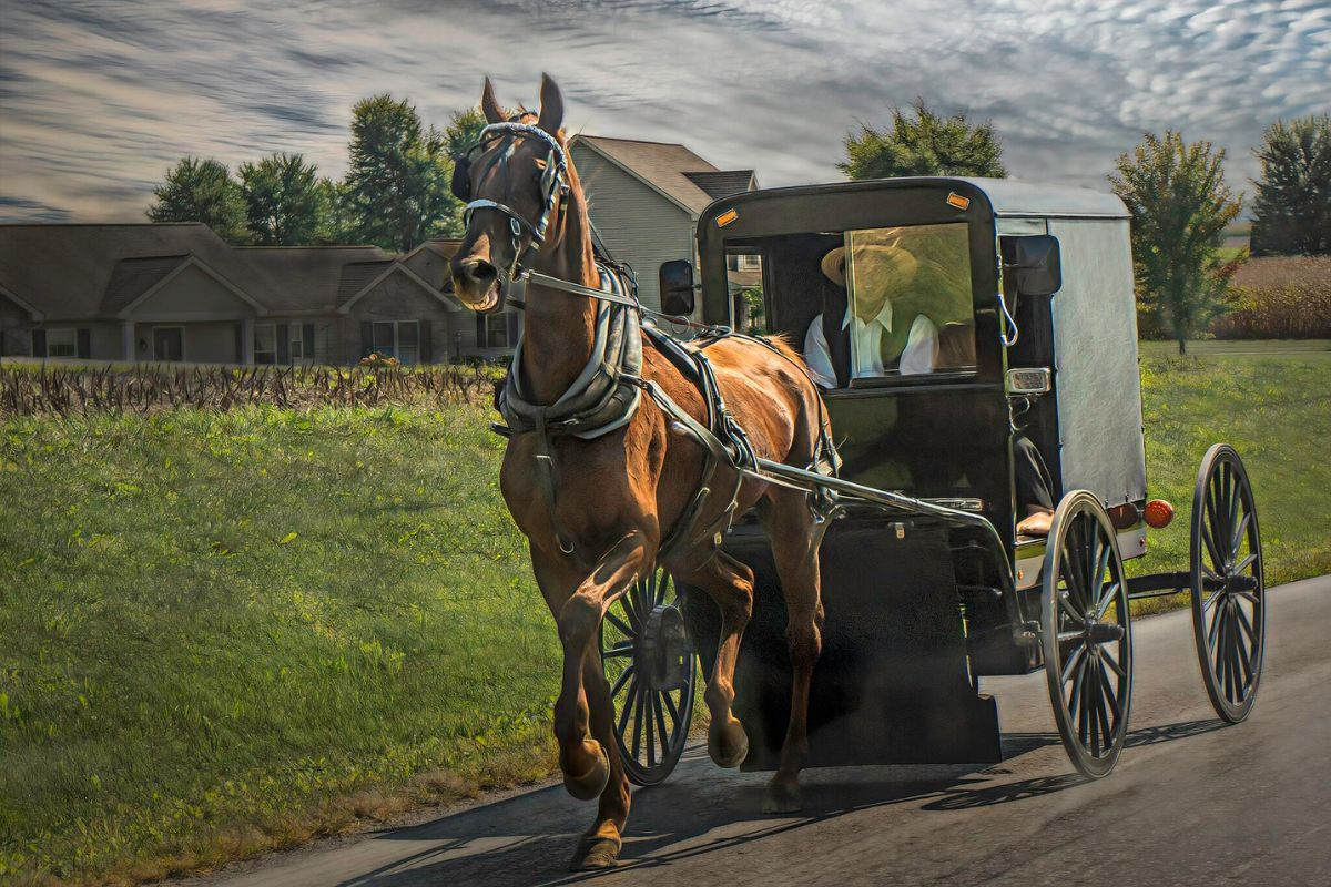 Technical_ly's tweet image. Lancaster is showing central PA how to grow a tech hub without losing its rural roots technical.ly/entrepreneursh…