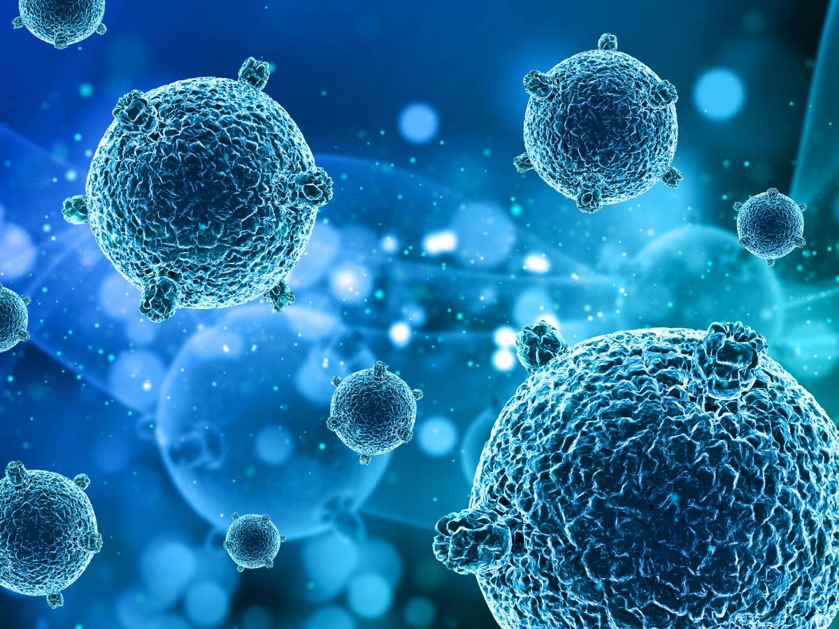 🧬 Investigadores de la <a href="/unige_en/">UNIGE_en</a>  han descubierto dos proteínas clave en la regulación de la expresión #genética, un avance que podría mejorar tratamientos para el #cáncer y trastornos del desarrollo neuronal

consalud.es/saludigital/ia…