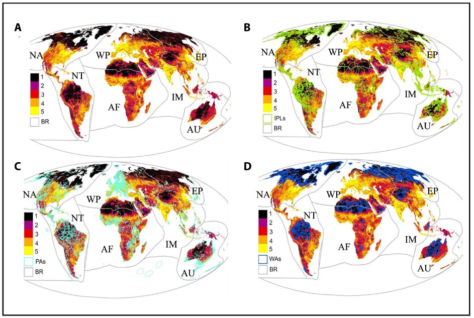 Cantabrian Brown Bear & Otter Research Group (@cantabrianbear) on Twitter photo Global scale assessment of the human-induced
extinction crisis of terrestrial carnivores
science.org/doi/10.1126/sc…
Indigenous peoples’ lands emerge as crucial for carnivore population viability, potentially safeguarding 26% of carnivore ranges globally
<a href="/mncn_csic/">Museo Nacional de Ciencias Naturales</a> <a href="/ScienceAdvances/">Science Advances</a> Global scale assessment of the human-induced
extinction crisis of terrestrial carnivores
science.org/doi/10.1126/sc…
Indigenous peoples’ lands emerge as crucial for carnivore population viability, potentially safeguarding 26% of carnivore ranges globally
<a href="/mncn_csic/">Museo Nacional de Ciencias Naturales</a> <a href="/ScienceAdvances/">Science Advances</a>