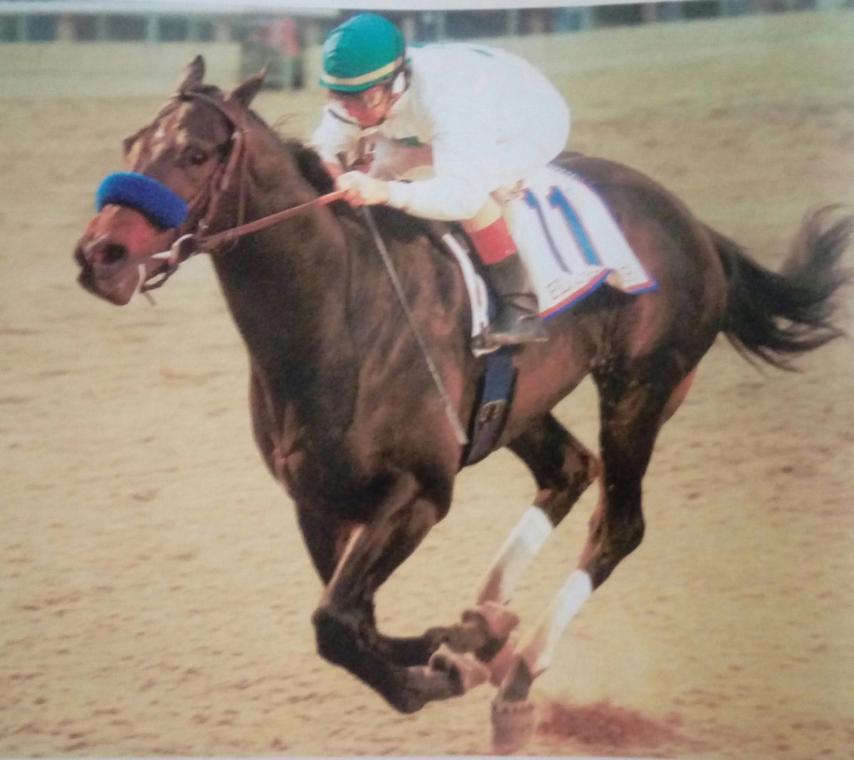 EL CORREDOR🇺🇸1997
(MR. GREELEY - SILVERY SWAN BY SILVER DEPUTY)
#ElCorredor