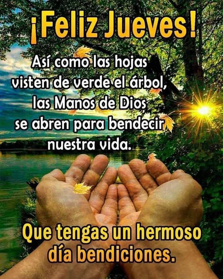 17 DE JULIO 2O25 
CUARTO DÍA DE LA SEMANA 🙏🙏🙏