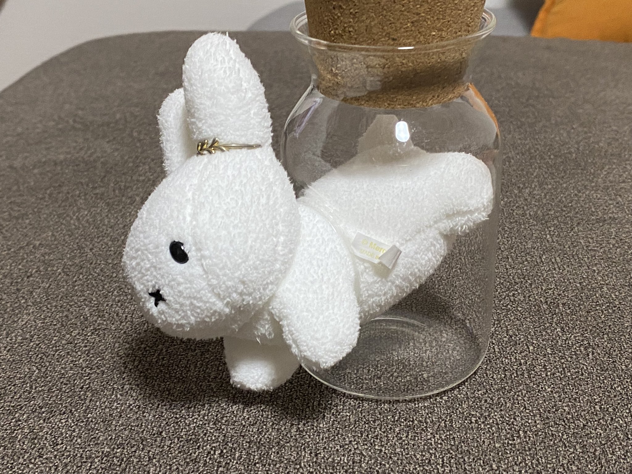 【野うさぎ♡】 51PSh7DYfFL._UF350,350_QL50_.jpg