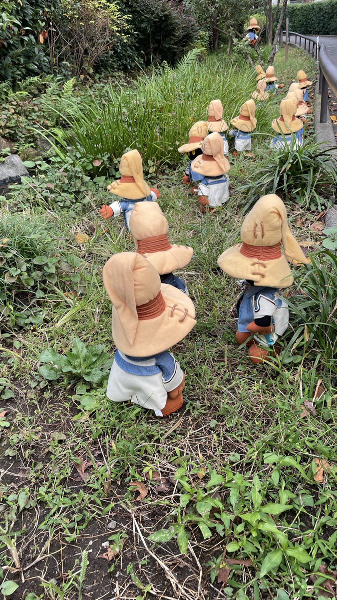 tomoみちゃん🎮 tweet media