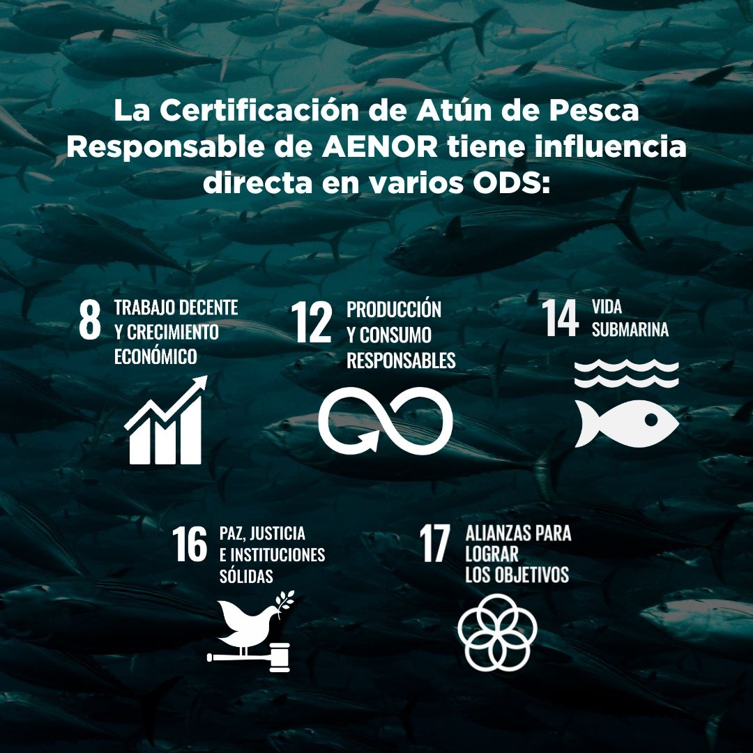 apr_aenor's tweet photo. 🔎 Estos objetivos instan a todos los países a adoptar medidas para promover la prosperidad al tiempo que protegen el planeta.

These goals call on all countries to take action to promote prosperity while protecting the planet.

#AtúndePescaResponsable #AENORAPR https://t.co/YxPcMBPr8N