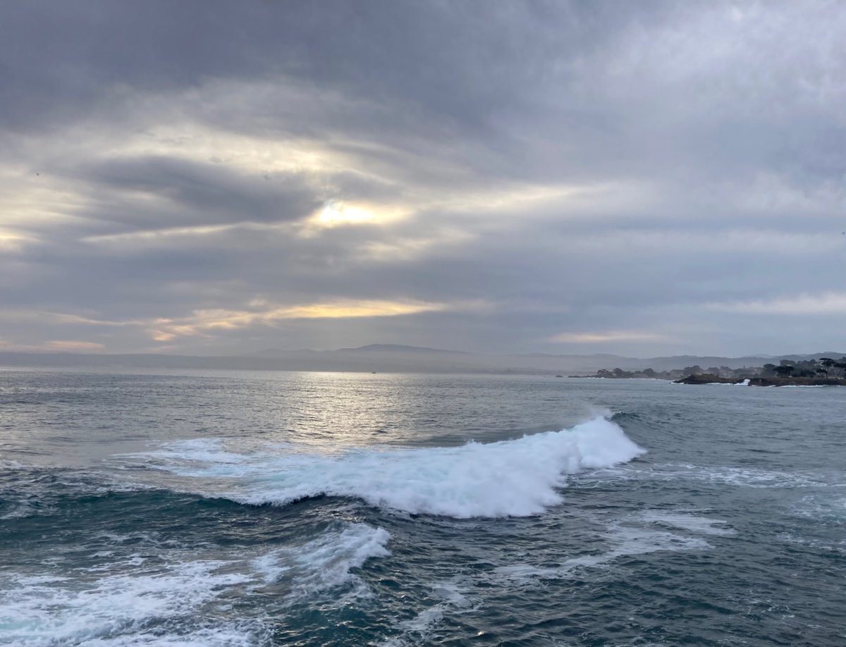 wildcreativity's tweet image. Cool touch of fog
soothing rhythm of the waves
salt water pulsing.
#haiku #NaturePhotography