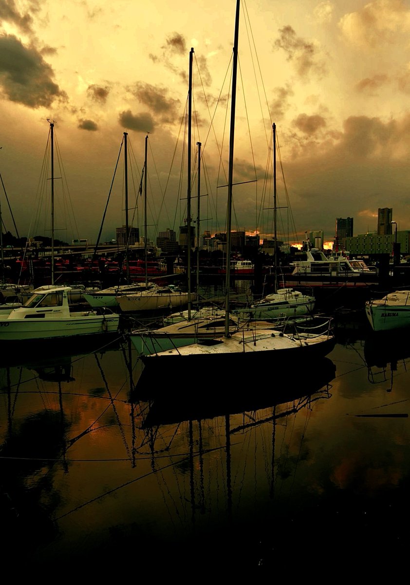 𝓦𝓱𝓲𝓼𝓹𝓮𝓻𝔀𝓻𝓪𝓹, 𝓵𝓸𝓸𝓹 𝓶𝔂 𝓵𝓸𝓻𝓮— 𝓿𝓮𝓵𝓿𝓮𝓽𝓶𝓸𝓻𝓮 𝓸𝓷 𝔂𝓸𝓾𝓻 𝓼𝓱𝓸𝓻𝓮.