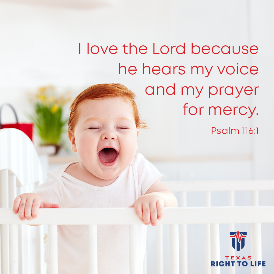 TXRightToLife's tweet image. God, thank you for listening to us!
Let's pray together. If you have a prayer request, leave a comment and we'll lift you up in our daily office prayers!