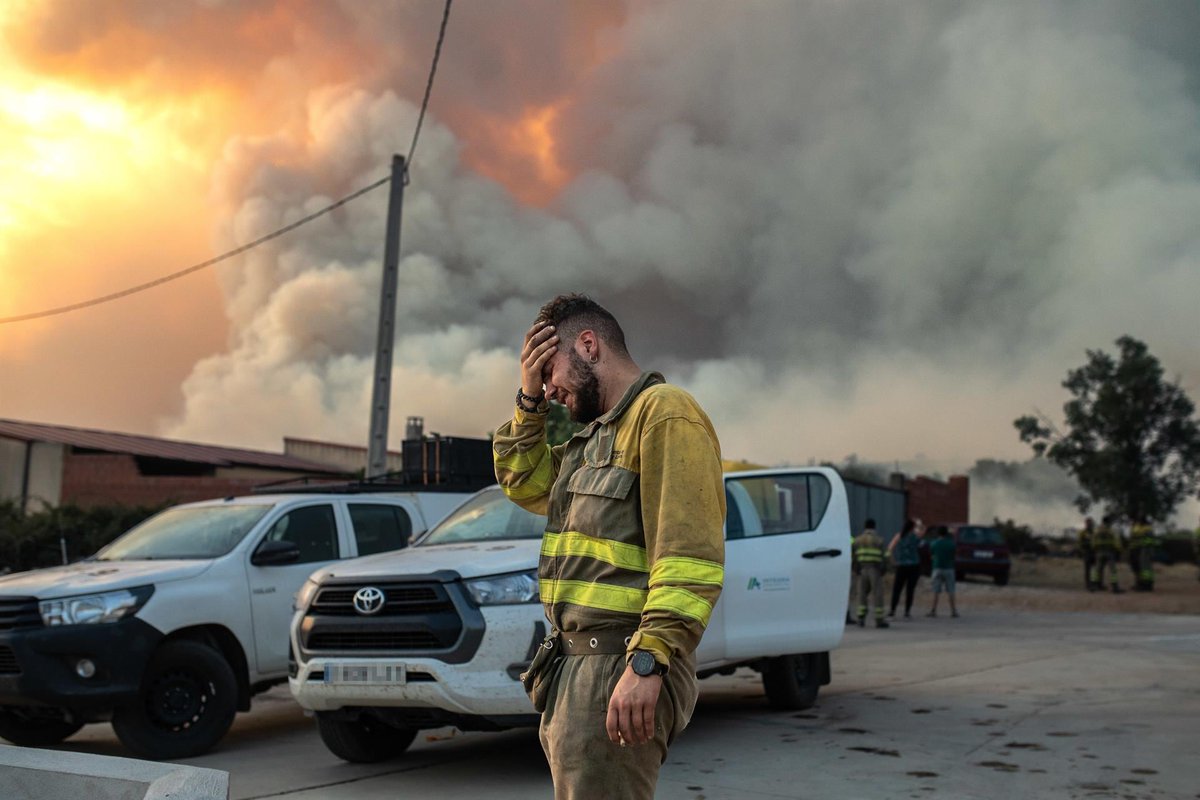 Juan13Navarro's tweet photo. 17 de julio de 2022. Calor en la sierra de la Culebra (Zamora). Aún humea el incendio de junio. Por la tarde, entre el bochorno, tormenta seca y rayos. Comienza la desolación, un infierno incontrolable: otras 30.000 hectáreas y 4 muertos. Esta es la historia del #IFLosacio⬇️ https://t.co/ZrSwvmJq3Q
