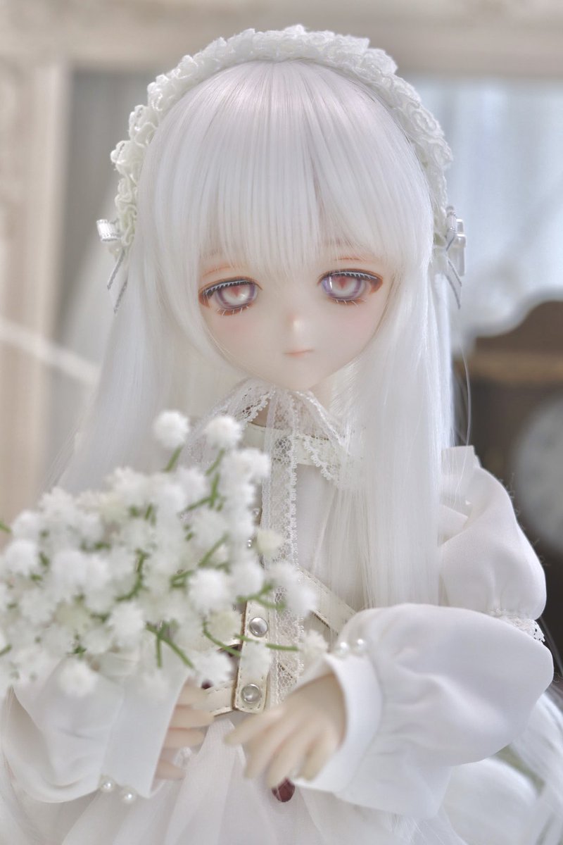 choucho22681772's tweet image. 只今この子を出品しております(* ᴗ͈ˬᴗ͈)”
お迎え頂けましたら嬉しい限りです…!🙇♀️✨
auctions.yahoo.co.jp/seller/largo_mf