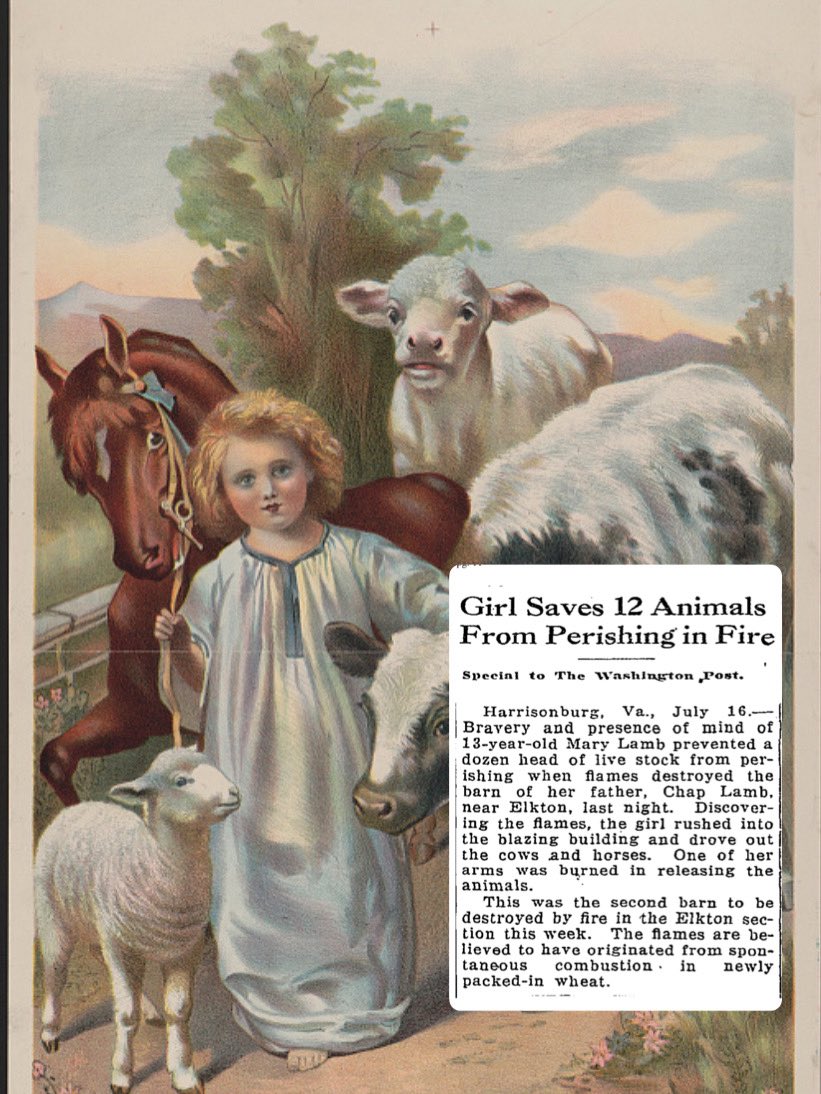 petulad's tweet image. July 17, 1925 — That name, though! A hero story #100yearsagotoday honored a girl who saved a dozen head of cattle when the Virginia barn caught fire, common during these hot summers when tightly packed wheat spontaneously combusted. #retropolis