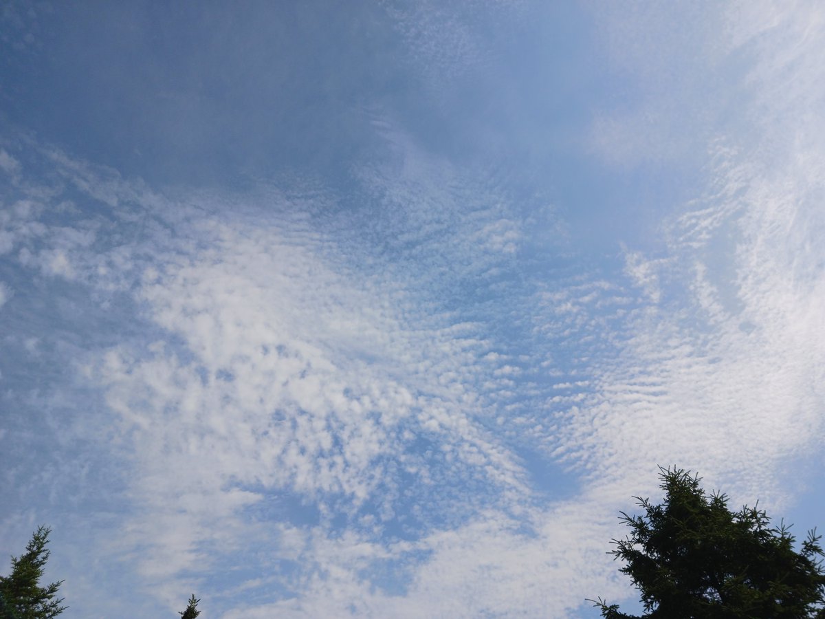 ImagesCoast's tweet image. "Live from the war against humanity. More poison every day. Mind control nanobots stealing your soul."
Chemicals rain down from passing aircraft over Nova Scotia, Canada. July 06 2025
#nanobots #mindcontrol #depopulation #chemtrails