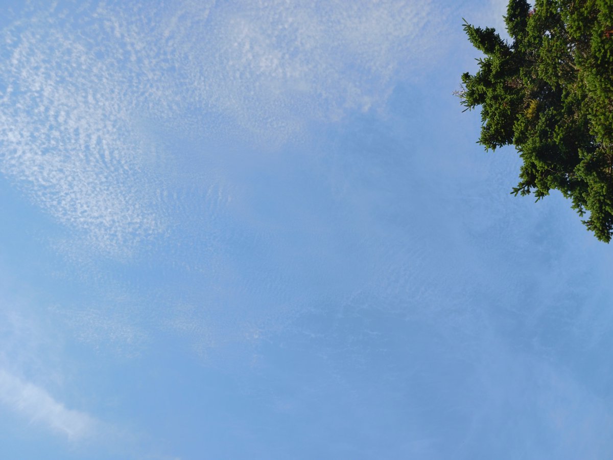 ImagesCoast's tweet image. "Live from the war against humanity. More poison every day. Mind control nanobots stealing your soul."
Chemicals rain down from passing aircraft over Nova Scotia, Canada. July 06 2025
#nanobots #mindcontrol #depopulation #chemtrails