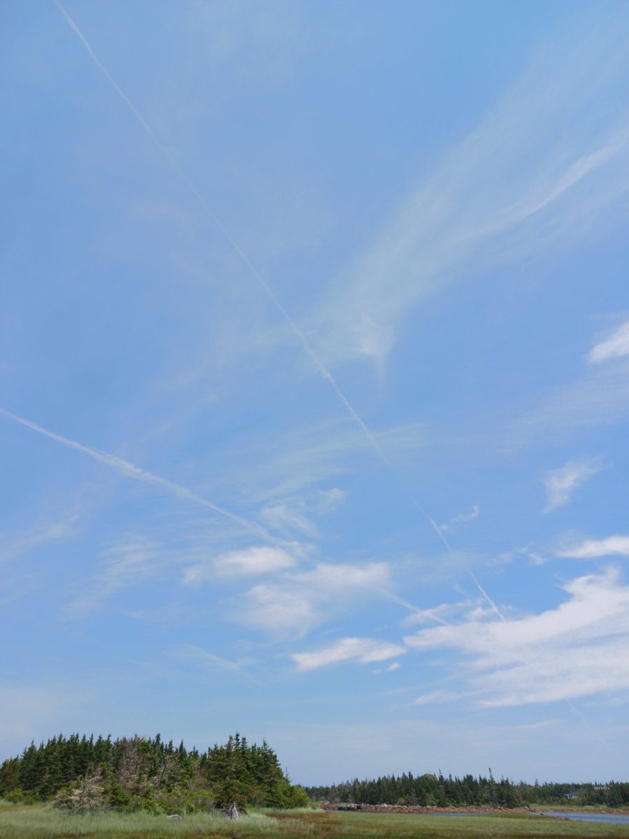 ImagesCoast's tweet image. "Live from the war against humanity. More poison every day. Mind control nanobots stealing your soul."
Chemicals rain down from passing aircraft over Nova Scotia, Canada. July 06 2025
#nanobots #mindcontrol #depopulation #chemtrails