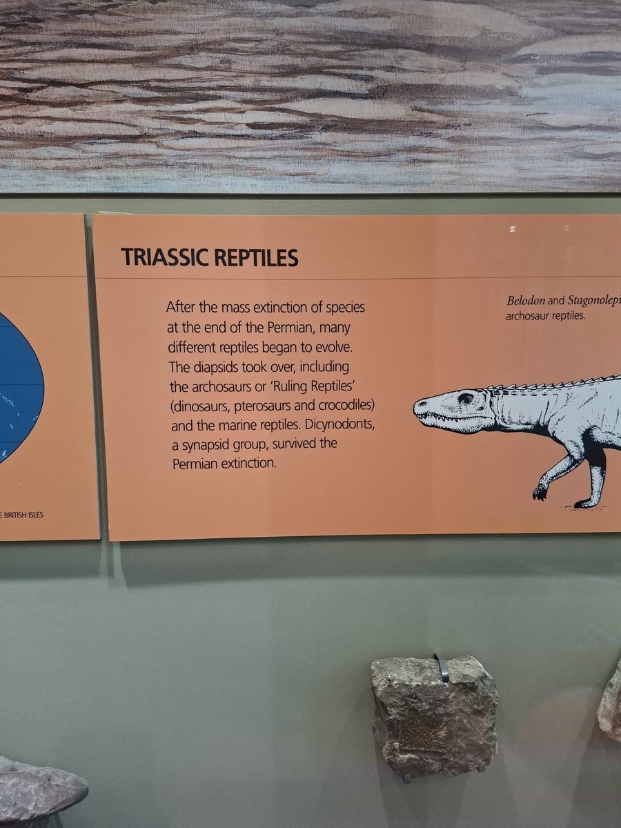 April the Tenontosaurus &amp; other large lizards.