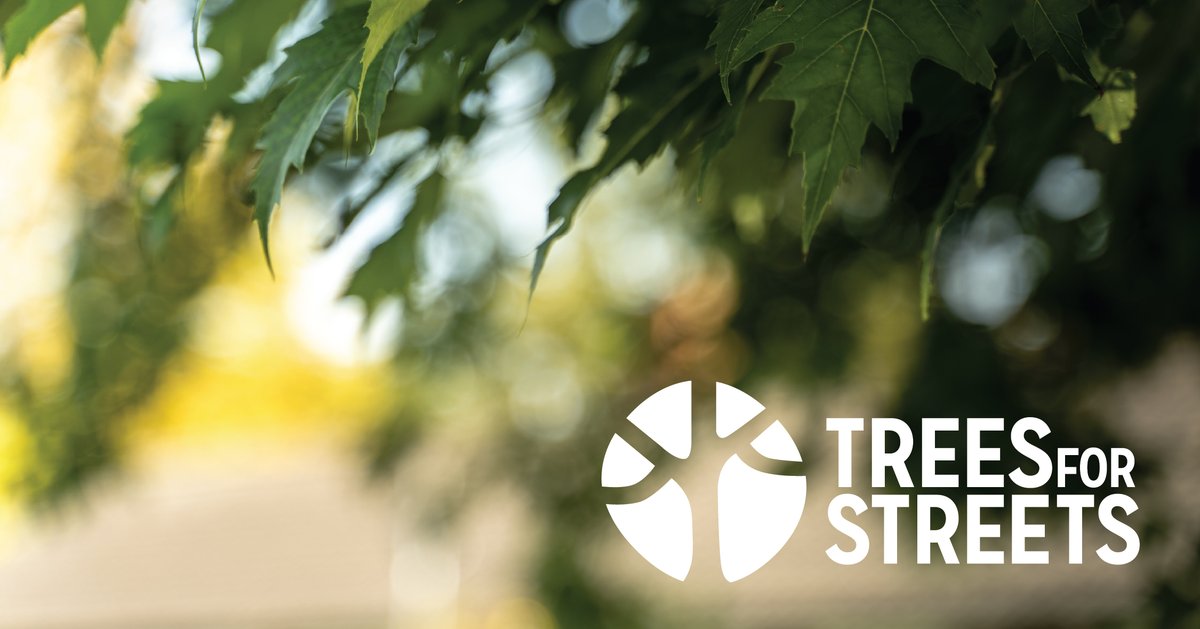 GlasgowCC's tweet image. Sponsor a street tree in your neighbourhood through @TreesforStreets who we’ve partnered up with as part of plans to boost tree numbers across the city.
Subject to a site survey, you can even choose the location of the new sponsored street tree.
More 👉 ow.ly/MVOM50WpjmR