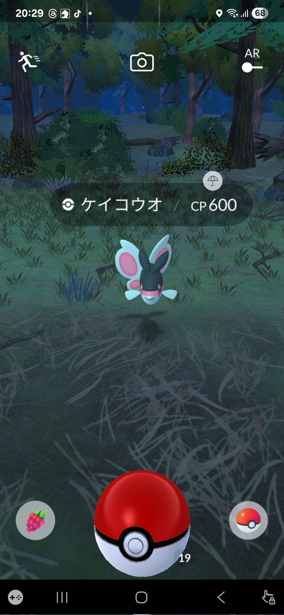 ポケモン - たー ケンタロスGX | ポケモンカードゲーム公式ホームページ