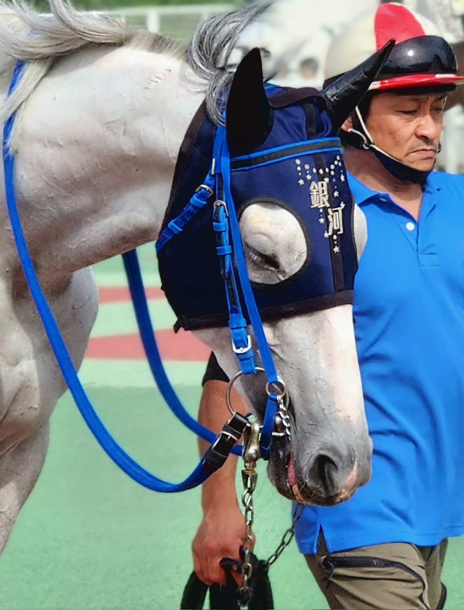 大井競馬場　限定つり革 Champions TCKオリジナル - Champions TCK