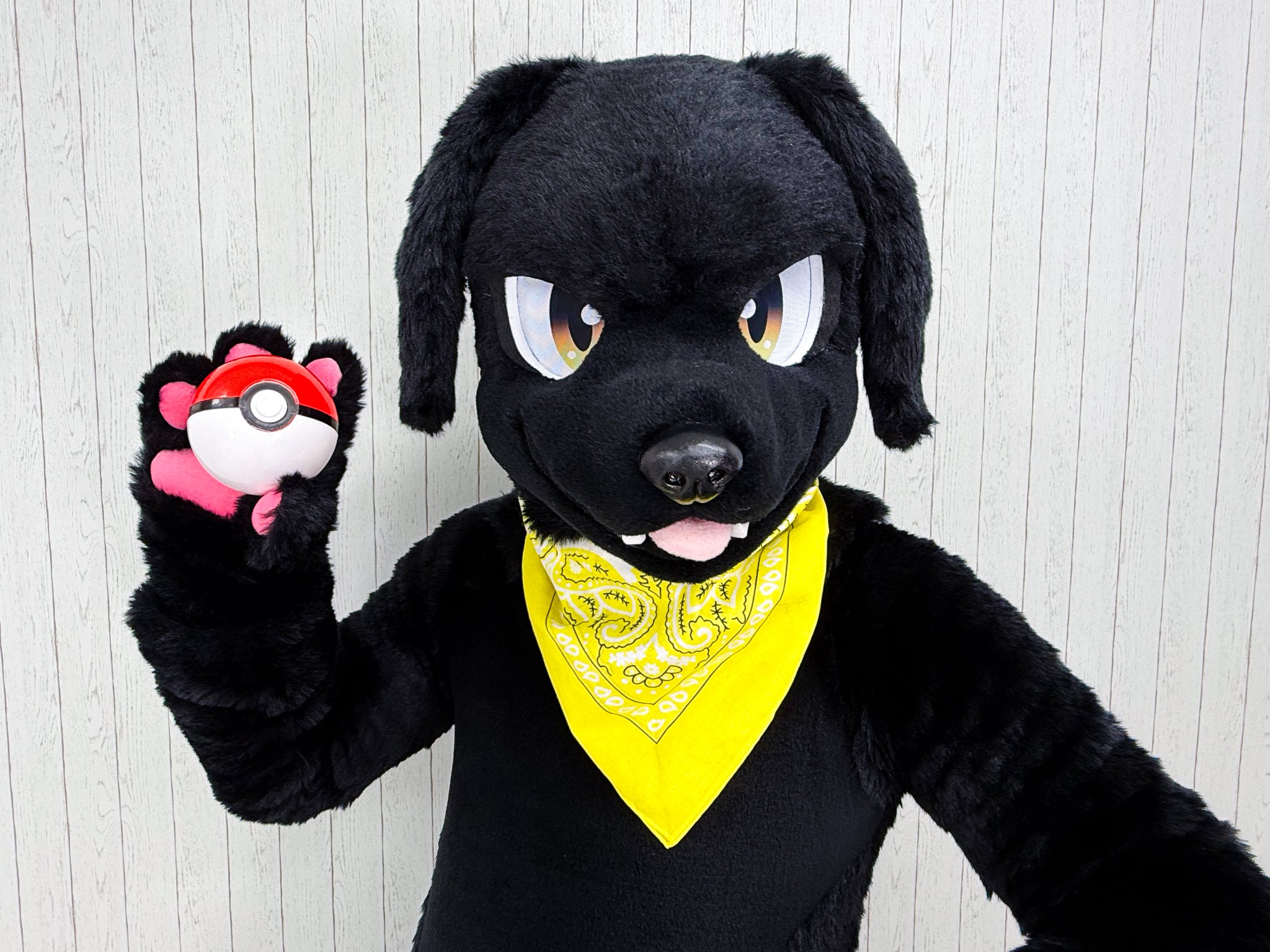 [RONRON]FURRY CAT マフラー★新作・24AW★人気★韓国★関税込み RONRON(ロンロン) マフラー・ストール(レディース) - 海外通販の