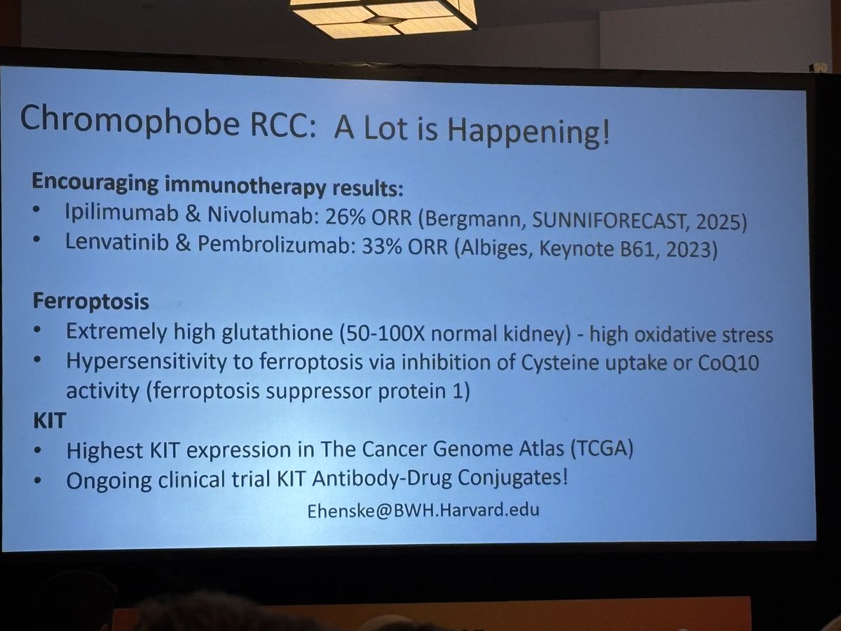 MosheOrnsteinMD's tweet image. Dr. Henske #KCRS25 providing important updates on chromophobe RCC. Interesting data regarding KIT as a potential target with early phase ongoing trials. @kidneycan