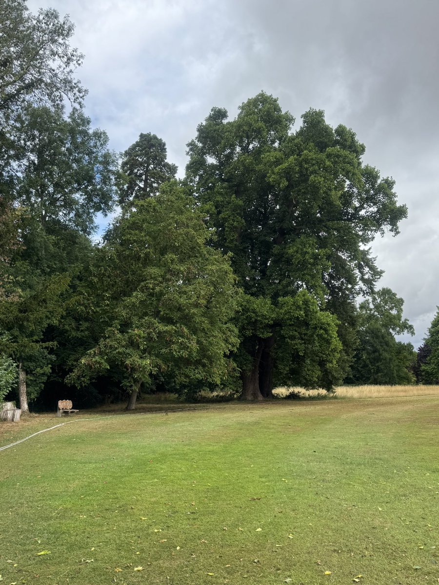 JackiHicks's tweet image. Todayโs cricket venue is Birlingham CC for #WorcesterOver70s v #CornwallOver70s - lovely ground surrounded by spectacular trees ๐ณ ๐ฒ