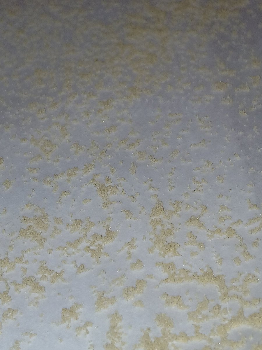 hashinaround's tweet image. I was able to air dry some of the Starburst 150.
All I can say it washed like I wanted it to.
Masonic seeds