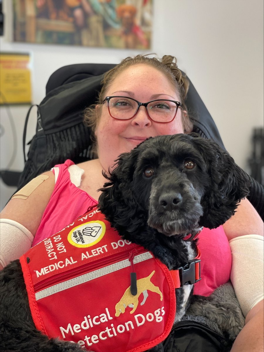 MedDetectDogs's tweet image. Nadine suffers from multiple conditions including Adrenal Insufficiency which means her body no longer produces natural adrenalin. Without medication her steroid levels drop, inducing headaches and dizziness which can lead to unconsciousness and coma.
Molly alerts when this is…