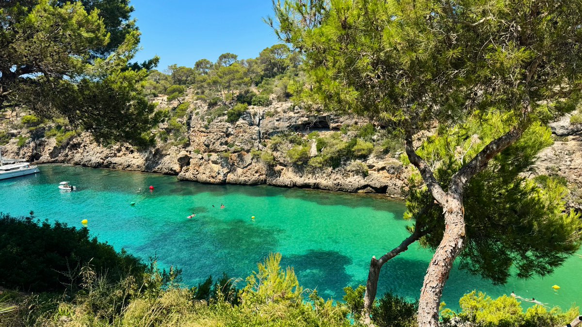 Dentoshi tweet media