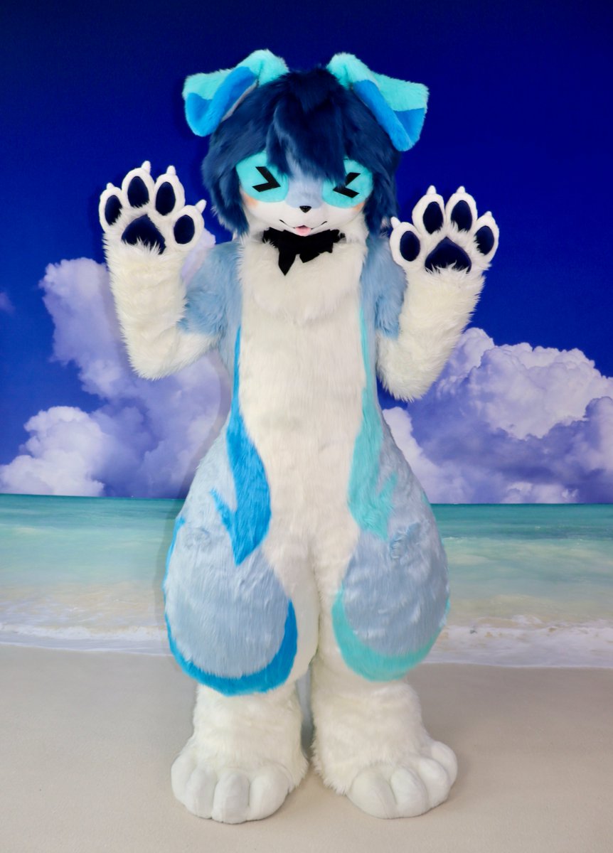 Lanqi was born!🐶
「 Commission work for the fursuit + fursona adoption」
Owner：<a href="/LanqiMomento/">Lanqi/ 蓝旗</a>
If you are also interested in checking out our character adoptions, you can visit our Trello link.trello.com/b/6I80Bgpp/wor…
We still have many characters waiting to come home.❤️