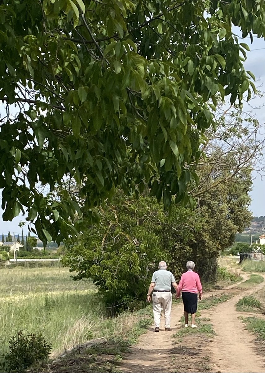 Hoy cumplo 25 años como Catedrático de Universidad.

Un día para, ante todo, evocar con amor y agradecimiento a mi madre, que no pudo ir más allá de la escuela primaria, y a mi padre, que no pudo terminar la educación secundaria. Ejemplos de laboriosidad, generosidad y compasión.